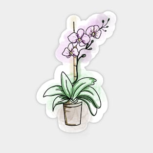 Orquídea Sticker